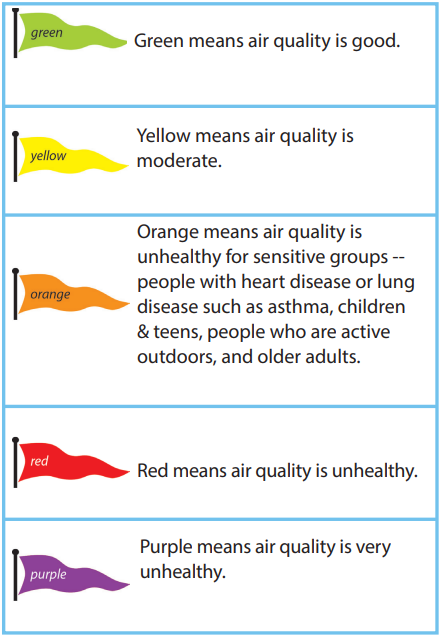 Air Quality Flag: Meanings
